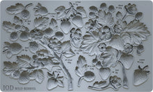 Load image into Gallery viewer, Wild Berries 6x10 IOD Mould™ Q125