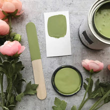Load image into Gallery viewer, Amy Howard Dunavent Green One Step Paint 16oz
