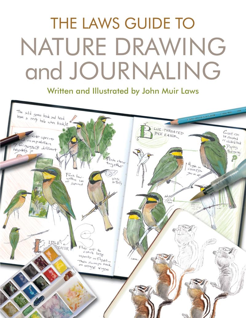 Book Study with Lexi: Featuring The Laws Guide to Nature Drawing and Journaling