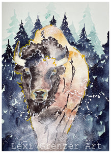 Original Watercolor - Buffalo #1 by Lexi Grenzer