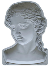 Load image into Gallery viewer, Persephone 5x7 IOD Mould™
