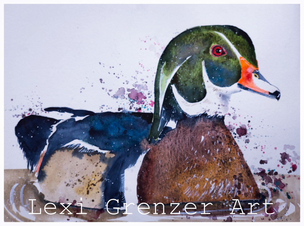 Original Watercolor - Wood Duck by Lexi Grenzer