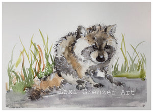 5/27 Original Watercolor - Baby Raccoon by Lexi Grenzer
